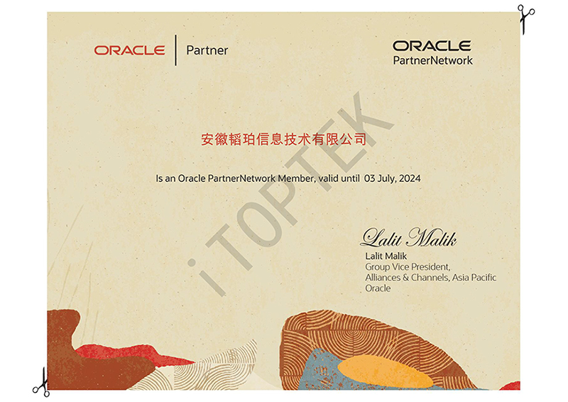 安徽韬珀信息技术有限公司